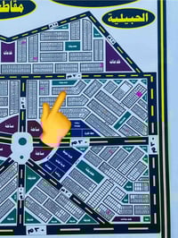 توزيع الحشد والدفاع ١٩/٤٧ • قطعة ٢٢٩ • حديقة وشارع ٢٠م