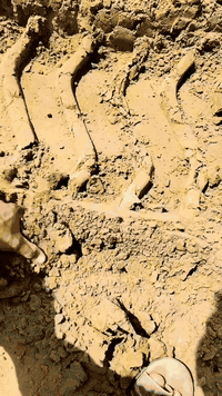 متوفر تراب درجة اولى 
وتفليش مال بيوت 
وزميج
اتصل ***********
