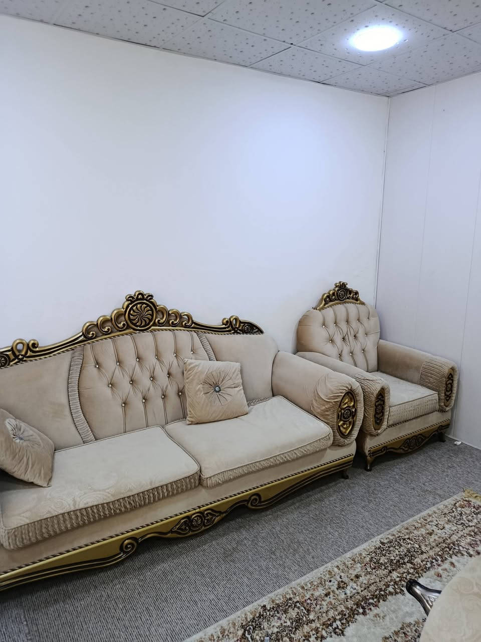 تخم 10 نفرات نوعية درجة اولة بحالة جيدة  سع.رة 360
كركوك ‏‪***********‬‏

