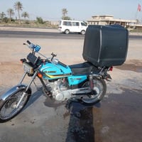 موديل ٢٠٢٣ • أوراق كاملة • للبيع