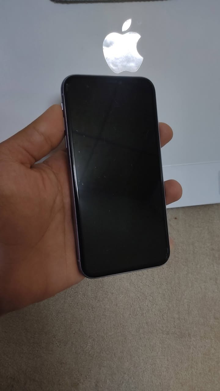 نرخی تەنها (٨٣) دۆلار!
یەک کۆمێنت بکە و هەموو زانیاریەکانت لۆ دەنێرم.


**إذا كنت صاحب هذا الإعلان وتريد حذفه لأي سبب، رجاءا أرسل رسالة إلى الدعم الفني**