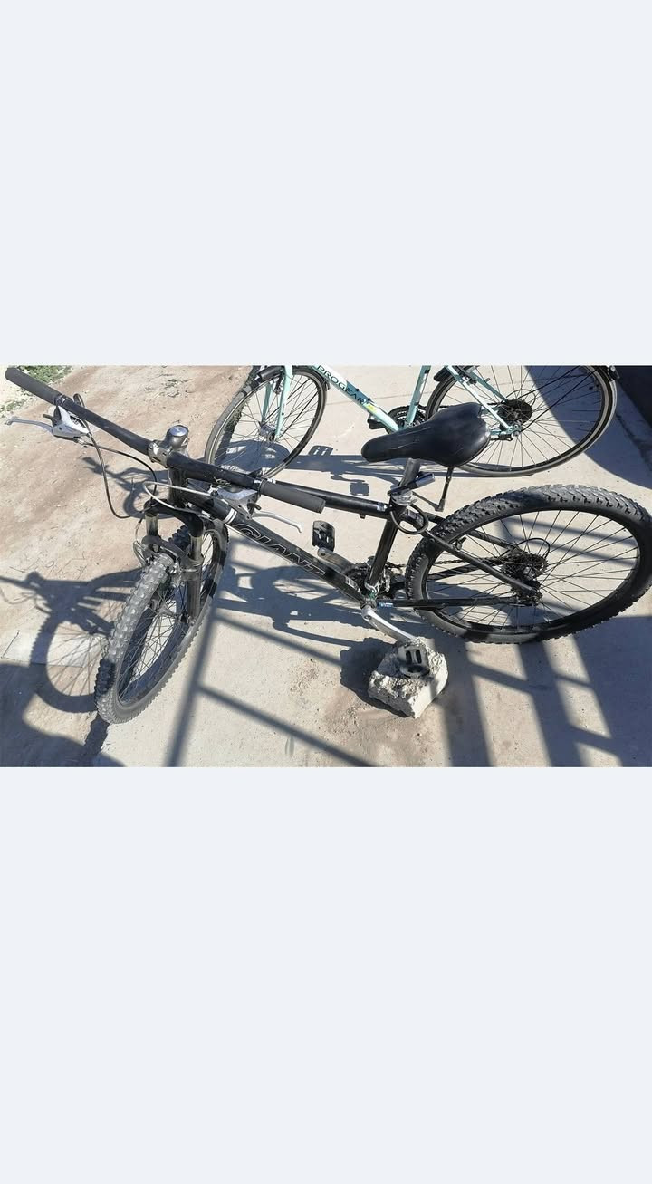 دراجة جينت للبيع.


**إذا كنت صاحب هذا الإعلان وتريد حذفه لأي سبب، رجاءا أرسل رسالة إلى الدعم الفني**