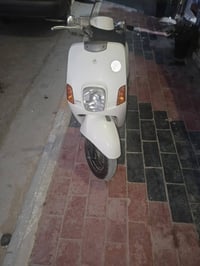 رمبة • مكفولة • معرض