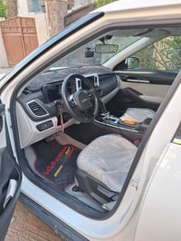 سلتوس • ٢٠٢٤ • ضمان دولي