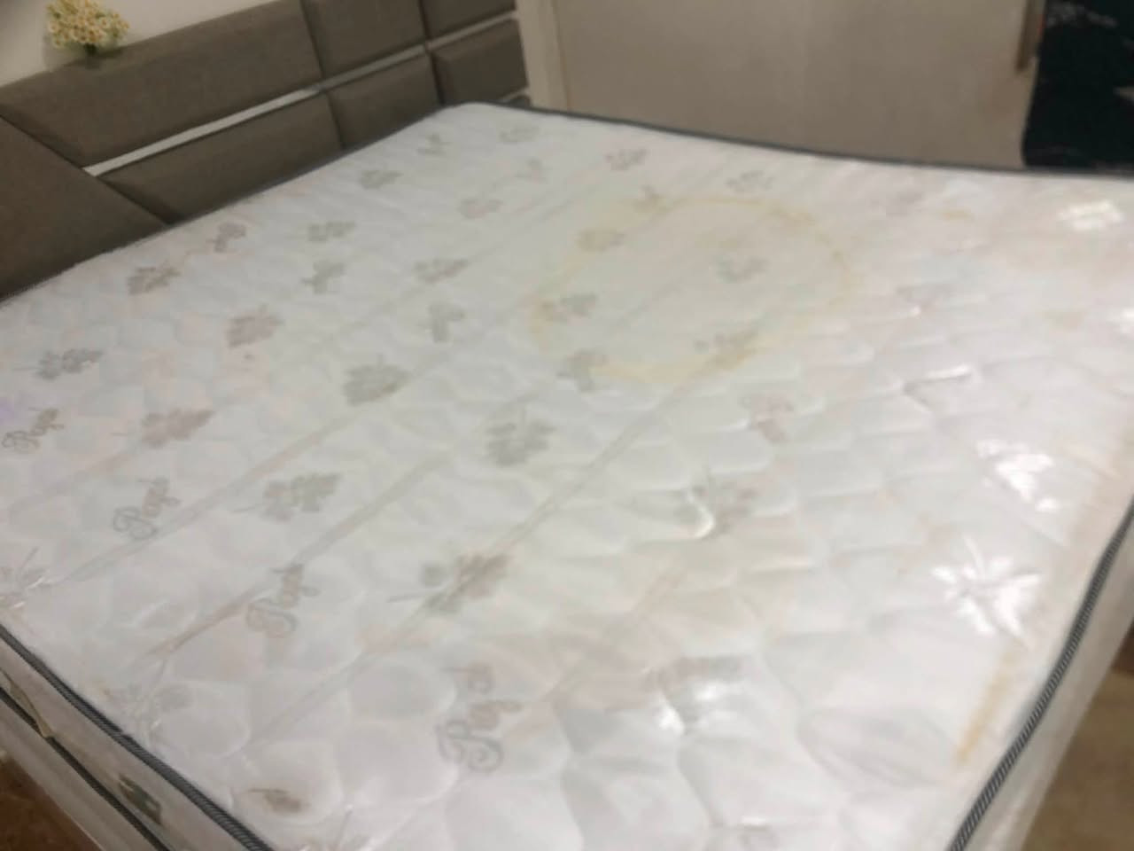 للبيع دوشك جربايه مستعجل مكان كركوك اسره مفقودين


**إذا كنت صاحب هذا الإعلان وتريد حذفه لأي سبب، رجاءا أرسل رسالة إلى الدعم الفني**