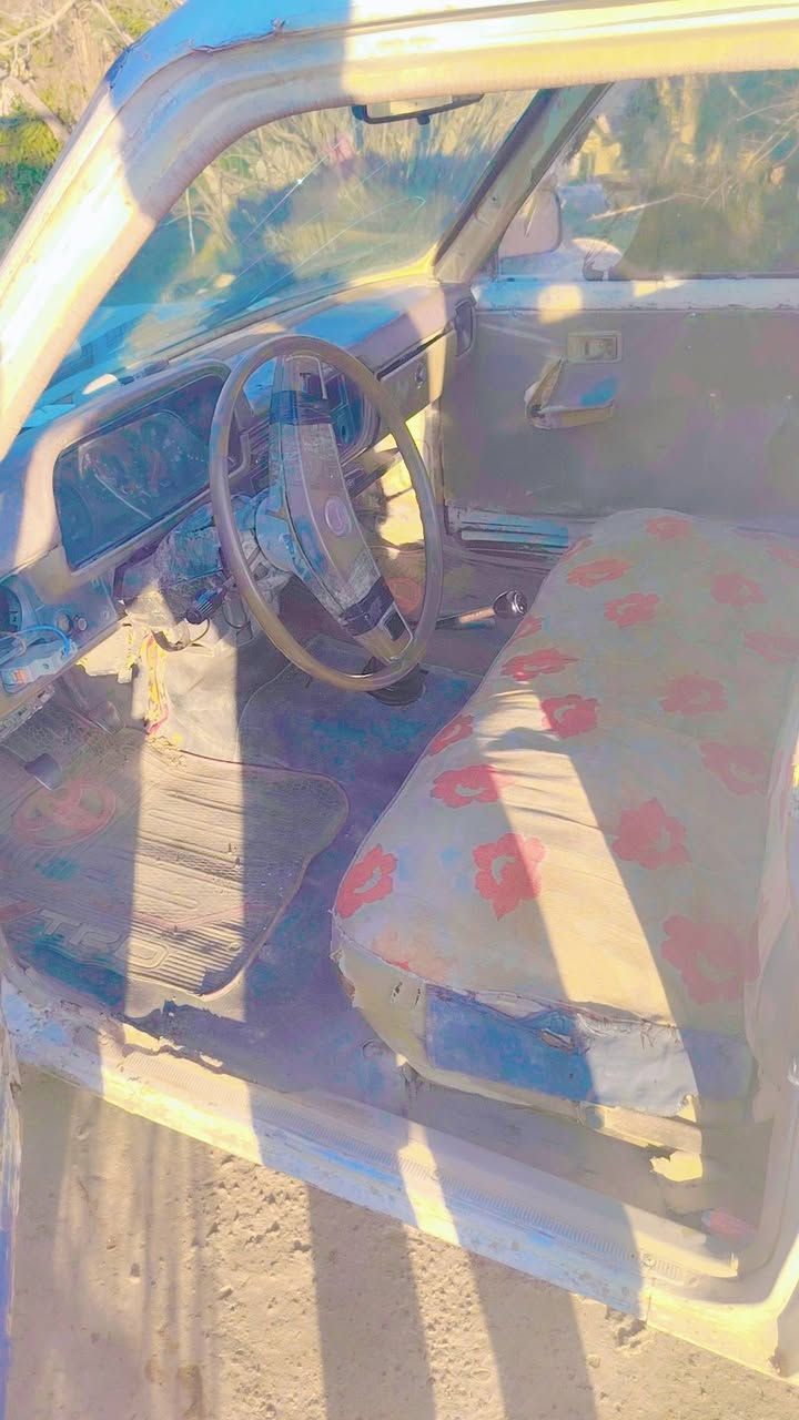 السلام عليكم ورحمه الله وبركاته للبيع بكم 85 كلها شرط ابيع حبل السعر مليونين وبيها مجال لاتصال ***********
