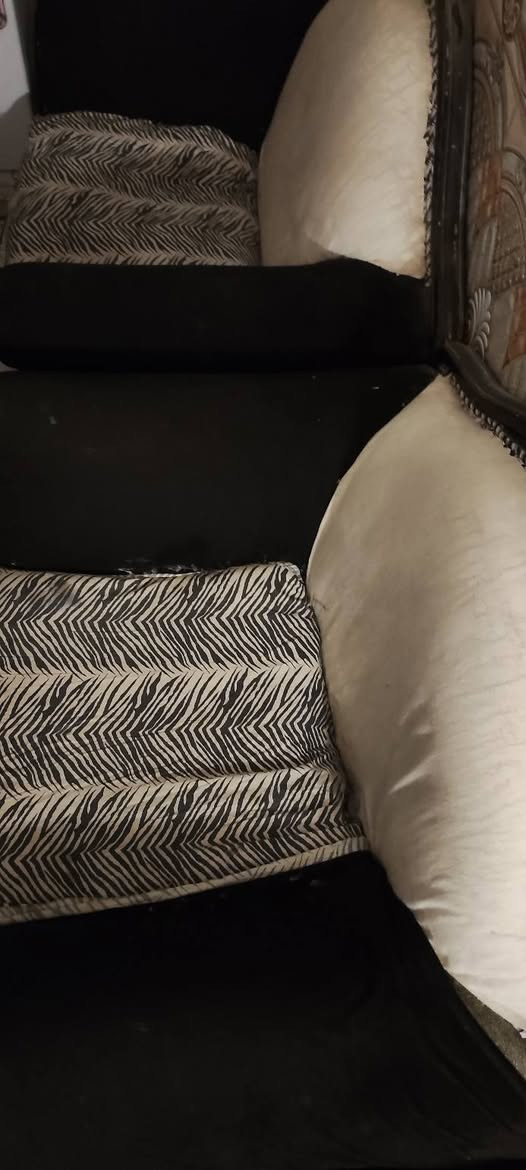 تخم للبيع مستعجل
السعر 40


**إذا كنت صاحب هذا الإعلان وتريد حذفه لأي سبب، رجاءا أرسل رسالة إلى الدعم الفني**