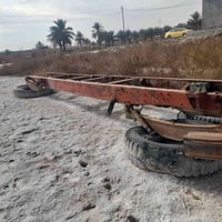 شاصي طويل • مقفص كامل • ١٩٦٨