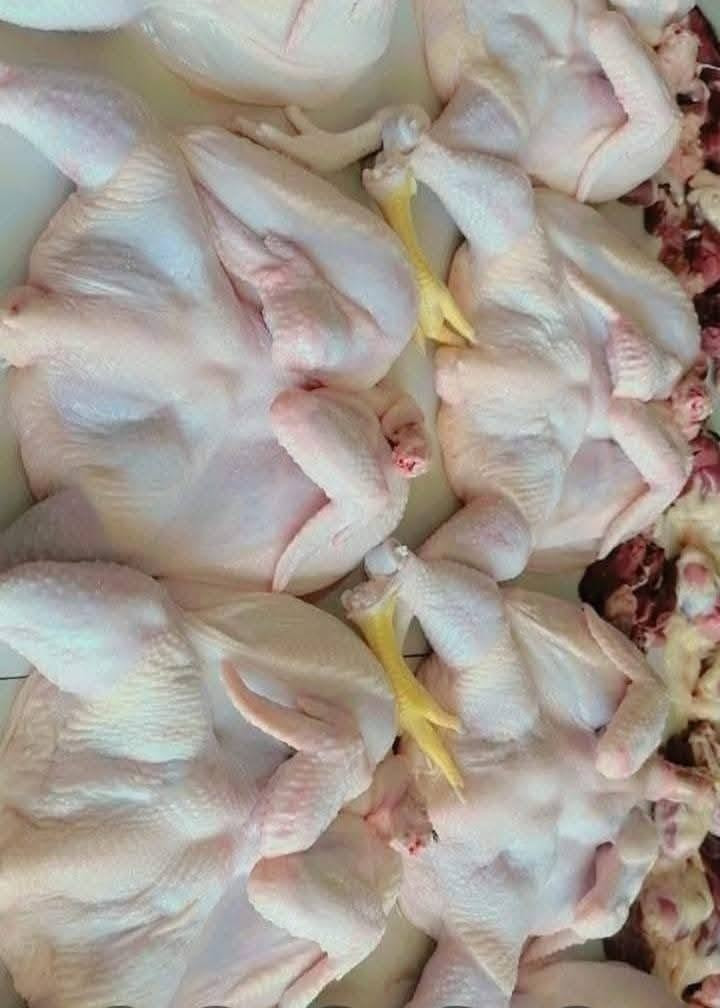 علوه دجاج علاء


**إذا كنت صاحب هذا الإعلان وتريد حذفه لأي سبب، رجاءا أرسل رسالة إلى الدعم الفني**