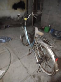 باسكل للبيع • سليم • البصره ابي الخصيب