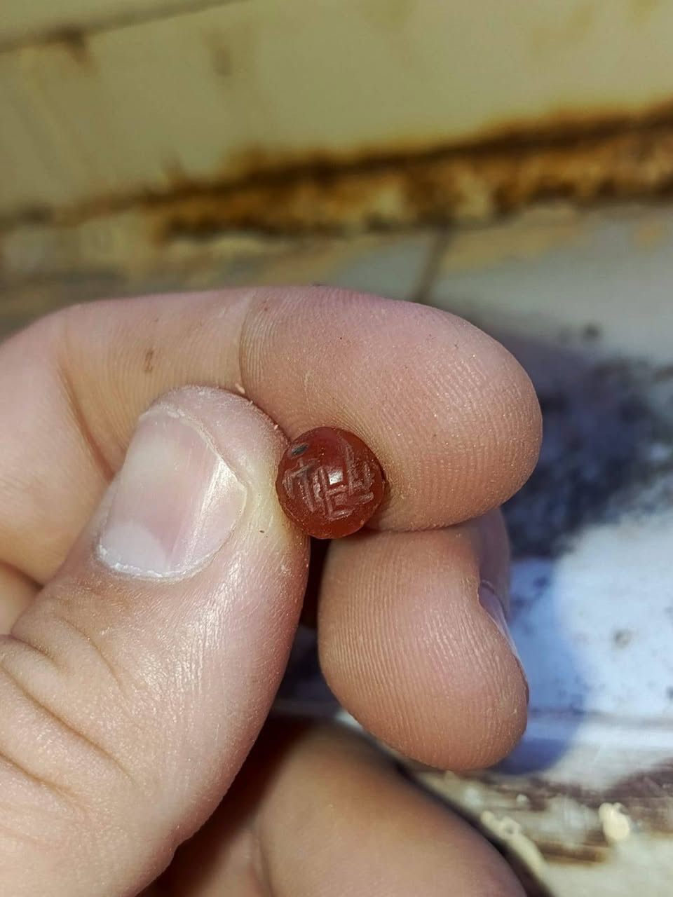 احجار للبيع للتواصل خاص


**إذا كنت صاحب هذا الإعلان وتريد حذفه لأي سبب، رجاءا أرسل رسالة إلى الدعم الفني**