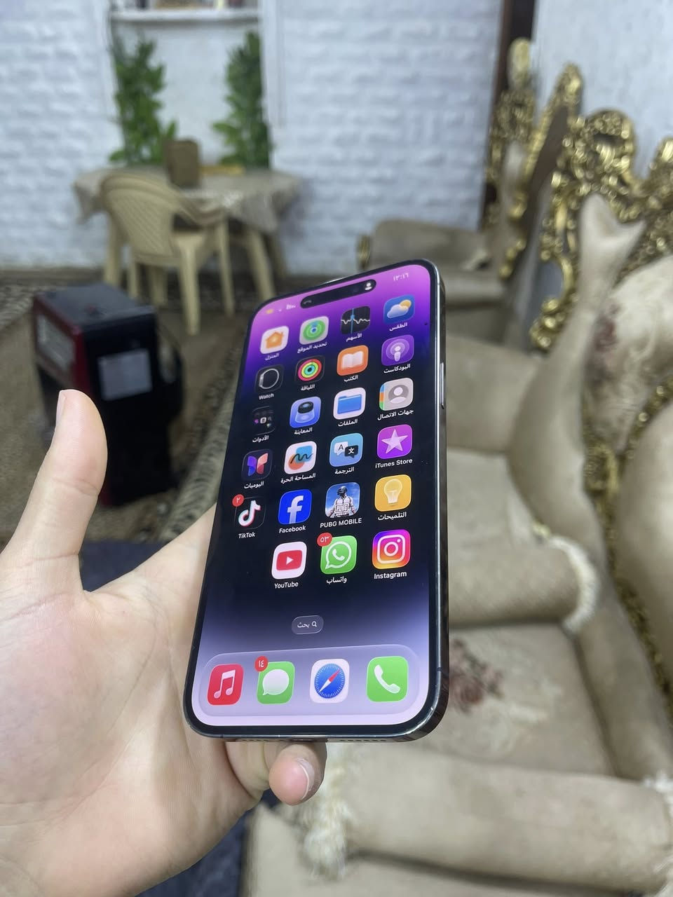 14برو ماكس جهاز فول نضافه شرق اوسط عربي 
ذاكره256
بطاريه74 شرط الشحن فول
كامرات اتصال مفول
مبدل ضهر 
وبي نقطه ممأثره ابد ولا مبينه مثل مموضح بلصوره :

بيع او مراوس سعر الجهاز 535 ألف فقط مكان رمادي ورار 
***********
