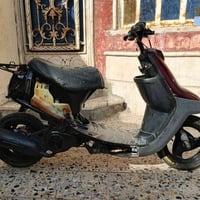 منغولي • ابوخصيب