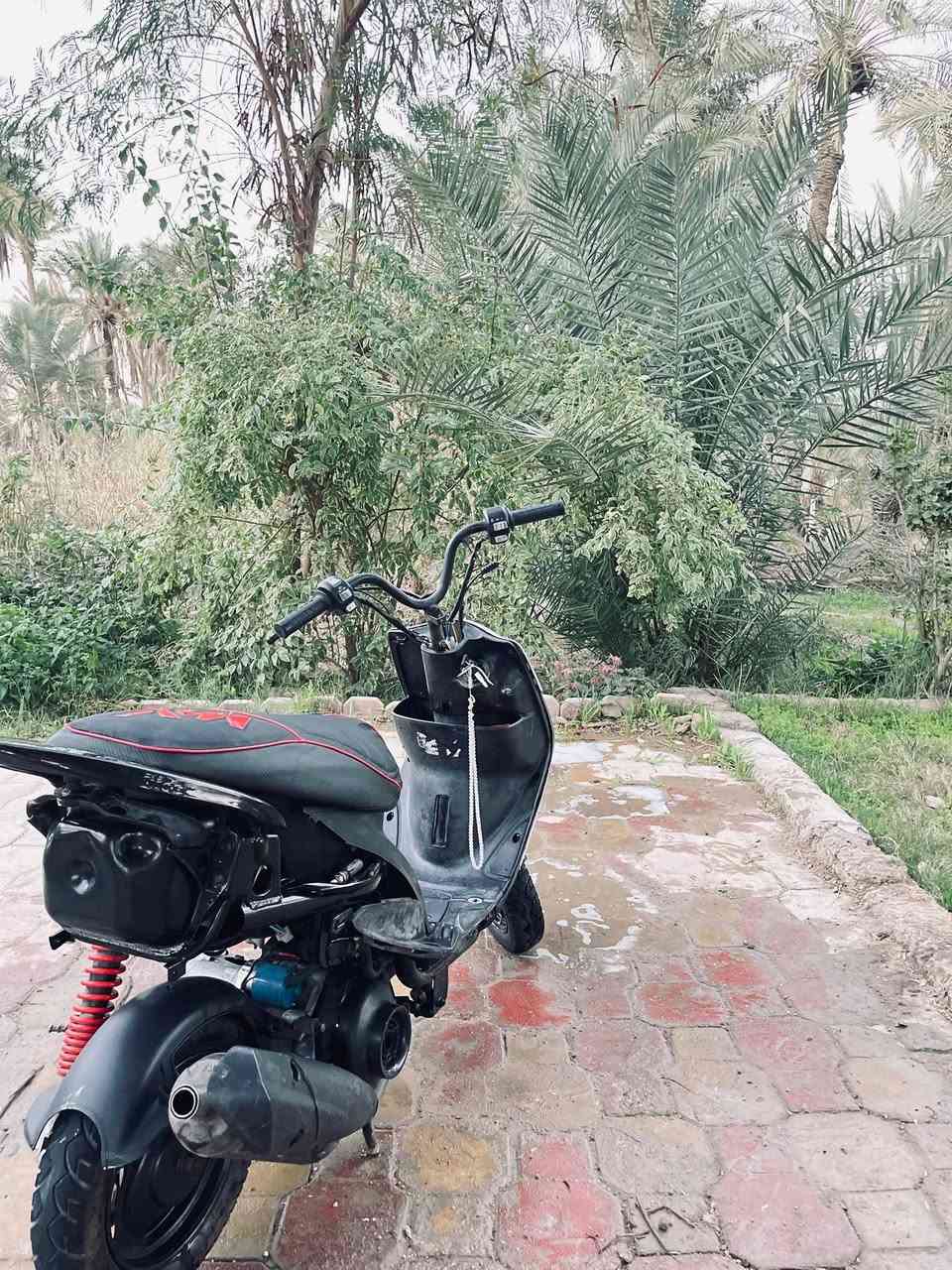 ماكس عدله للبيع بوشه 55 بيهه دبلات رياضي ويل امامي رياضي وقطرت دهن . سلف رياضي 55 . سلف هندر شغاله كهربائيات شغاله ضفيره جديده سعر خاص


**إذا كنت صاحب هذا الإعلان وتريد حذفه لأي سبب، رجاءا أرسل رسالة إلى الدعم الفني**