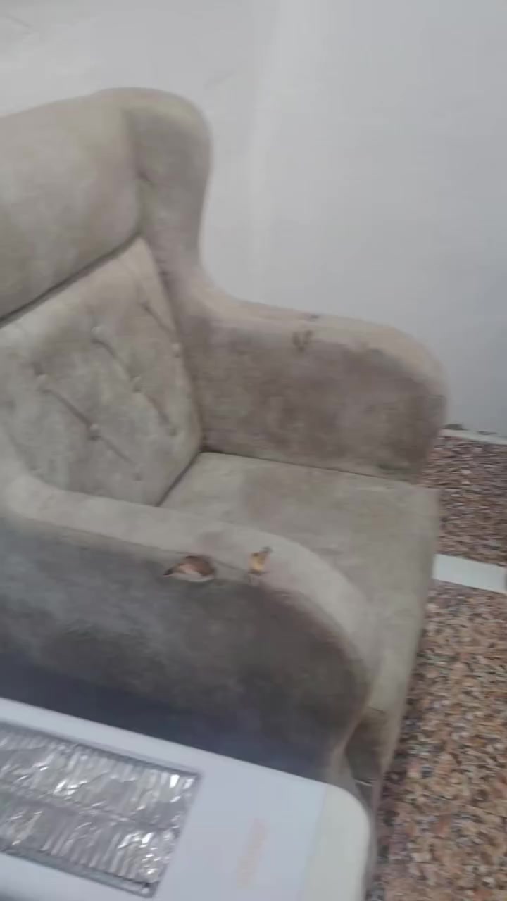 بسبب الوعود كاذبه تخم للبيع مثل ماموضح بس قطعه بيها ضرر بالرجلين 125وبي مجال مكان حجي عبد


**إذا كنت صاحب هذا الإعلان وتريد حذفه لأي سبب، رجاءا أرسل رسالة إلى الدعم الفني**