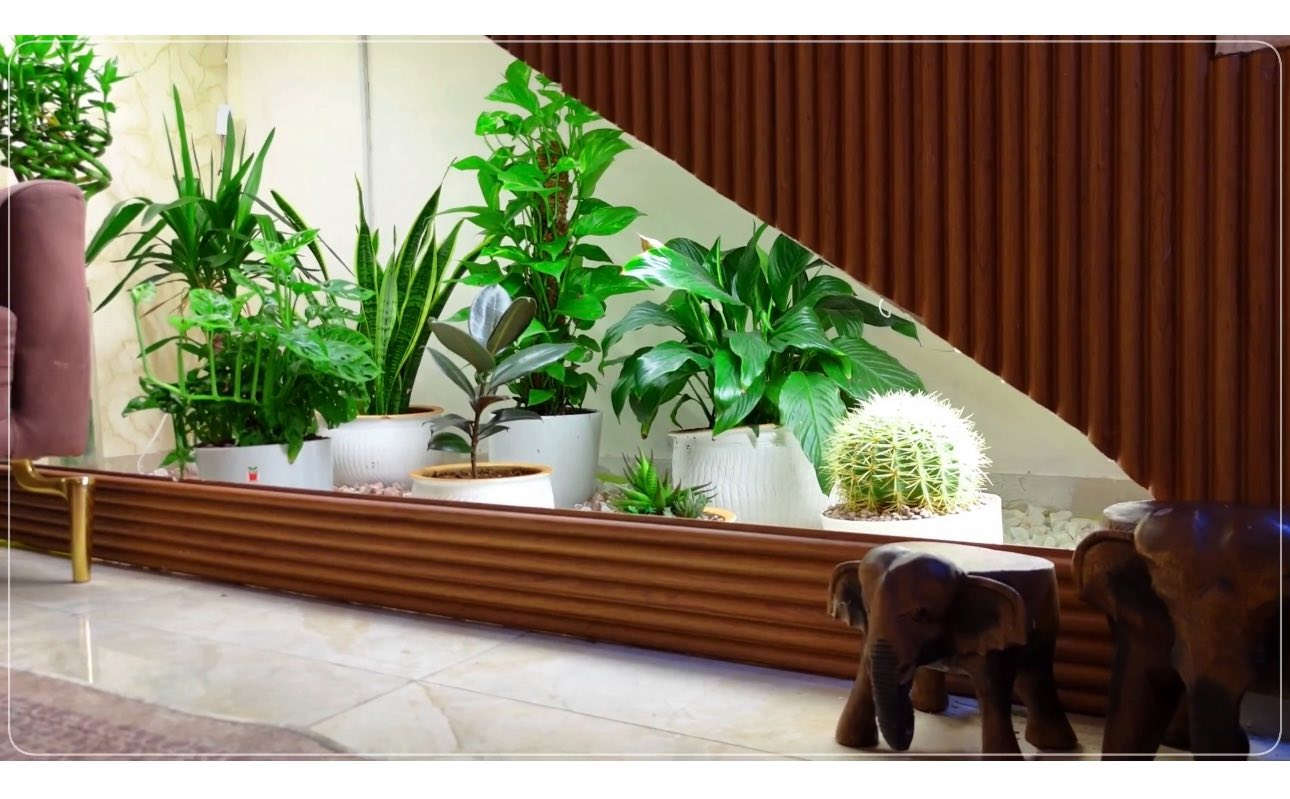 بيت للبيع 60م
ينفصل من150م
بعده ممفصول 
واجه6م نزال10م
حي الجهاد مربع الذهبي البيداء قريب على الشارع العام اول بيت بالفرع للتواصل ***********واتساب
