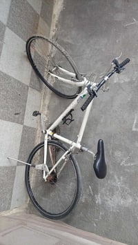 باسكل • يحتاج تاير • بيه مجال