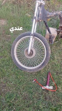 مراوس • مطلوب
