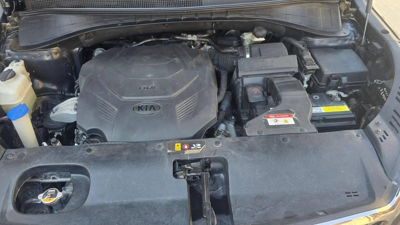 السلام عليكم كيا سورنتو رقم بغداد2019  SX V6أمريكي للبيع فقط فول مواصفات شنو بالك بيه
مقاعد جلد لون جوزي الاماميه فول كهرباء تدفئه تبريد 
كامرات 360 درجه  رادارات 360 درجه
عداد السرعه دجتل
تدفئه ستيرن
بردات أبواب خلفيه
علامته سورنتو مضيئة 
فور ويلAWD مانع انزلاق درايف مود 
فج بريك احمر بلاد
ويل 19 مال(SXL)ستانلس ستيل
لايت زنون لد احمر بلادي
كشن السائق خزن ميموري 
 عدد الركاب 7
تبريد ثلاث قطع 
هوك خلفي بلادي
جنطه كهرباء 
مري قلاب عند الرجوع للخلف
هاند بريك بصمه  
اشاير بالمري مري شفط
منافذ كهرباء 115V AC
شاحن مبايل واير ليس
السياره مدوشمه ارضيه جلد 
بانوراما ترايش القماره ستانلس ستيل
حادث السياره بنيد فقط ومصلح نفسه 
السياره جاهزه من كلشي ومكفوله ماعدا البنيد
اكو مواصفات مامذكوره موجوده بالصور
الله شاهد السياره بعد احله من الصور
السعر 195وبيه مجال للطيبين 
  مبايل***********
السلام عليكم كيا سورنتو رقم بغداد2019  SX V6أمريكي للبيع فقط فول مواصفات شنو بالك بيه
