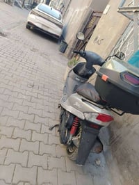 ماكس منغولي شرط مامفتوح بيها برغي 07711764363