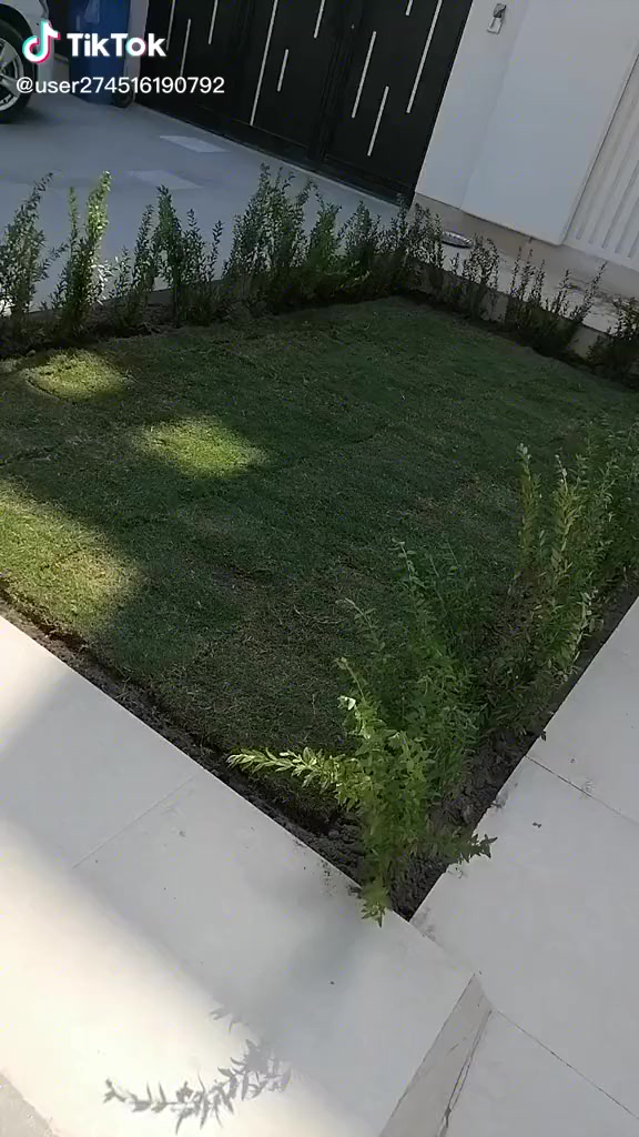 السلام عليكم تصميم  وقص الاشجار وترتيب وعمل سياجات وزرع انواع الثيل والورود والرزق على الله اريد منكم ترفعولي منشوربلا امر عليكم اكون ممنون منكم *********** /////***********
