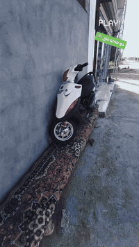 للبيع خابرني ودلل***********
