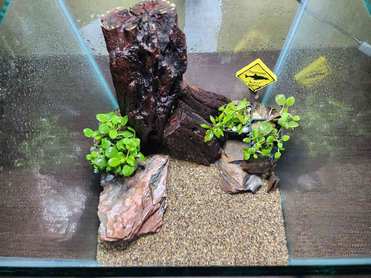 حوض قياس30×30×30🐠
بتصميم جديد 🍀🌧✨️
يحتوي على
رمل طبيعي 
حجر طبيعي🪨
نبات طبيعي🍀
فلتر هانك (شلال):لتنقية المياه وتنضيف الشوائب
اناره LED:متغيرة الالوان
هيتر :للحفاض على درجة حرارة المياه في الحوض 
قطعة ديكور 
كل هذا ب٦٠ الف دينار✅️
يوجد توصيل لجميع المحافضات🚚


**إذا كنت صاحب هذا الإعلان وتريد حذفه لأي سبب، رجاءا أرسل رسالة إلى الدعم الفني**