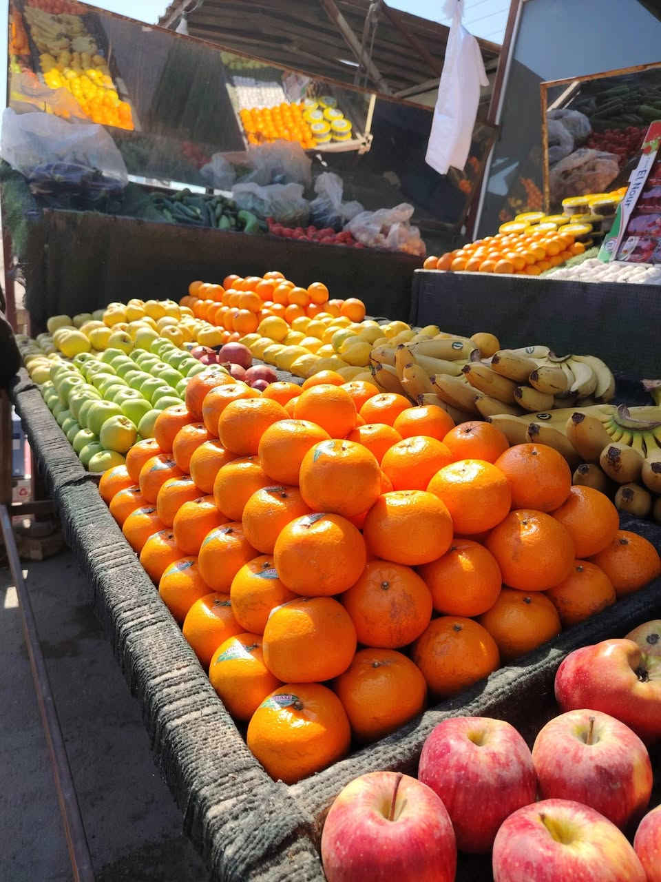 ميوزه مال مخضر جديدات للبيع مكان الهاشميه
الاتصال ع الرقم***********

