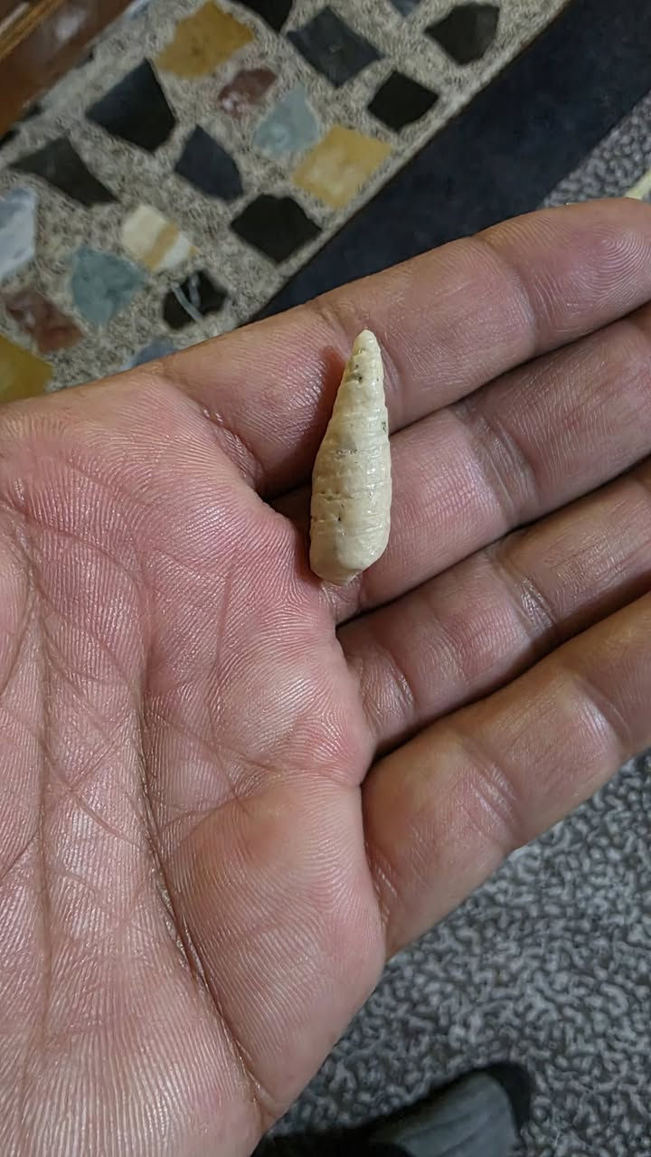 عطف لوي قديم جدن للبيع مكاني بغداد مدينه الصدر توصيل لا يوجد سعر جوه بلاش ٢٥ الف


**إذا كنت صاحب هذا الإعلان وتريد حذفه لأي سبب، رجاءا أرسل رسالة إلى الدعم الفني**