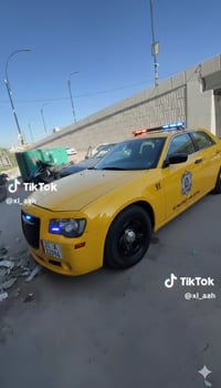 ويل وتاير • اصلي • مراوس