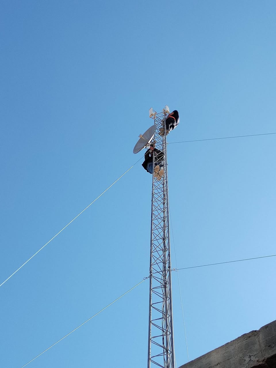 ‏أسرع وأفضل خدمة
‏سرعة عالية وثبات ممتاز
‏مناسب للألعاب، البث، والعمل
‏دعم فني مخصص
‏باقات متعددة تناسب الجميع 
‏#وعروض للمشتركين الجدد 
1.econ......35
‏2-pls...............ب38الف
‏3.Standard....ب50الف
‏4.Turbo..........ب79الف
‏#الجواعنه
‏#الجدعه 
‏#دور القاعده 
‏#اجحله
‏واغلب مناطق نينوى للتواصل ***********
‏
