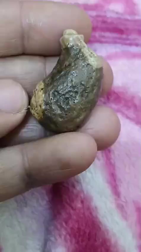 تحفة من الصلطاني
مصورة قربة للبيع يوجد توصيل


**إذا كنت صاحب هذا الإعلان وتريد حذفه لأي سبب، رجاءا أرسل رسالة إلى الدعم الفني**