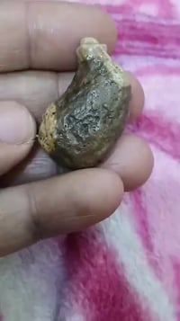 قربة • منقوشة • توصيل