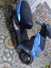 سكنس فحل • ياباني • مراوس