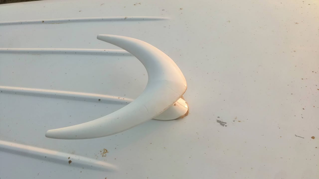 السلام عليكم غراض جنبي.h1  للبيع 
هورن بوش ايراني ممكصوص ولا مفتوح ب٢٠٠
دمام مامفتوح ولا مصلح ب٤٠ 
دركه كراون شرط دكتها لمس ب٧٠
طير علقماره مصبوغه ونضيفه  ب١٠ 
اريل خلفي ب٥
بوشيه  ب١٠ 
بردات ب٣٥ 
امرايه ام لترجيه ب١٠ 
مكاني بغداد المكاسب 
***********
