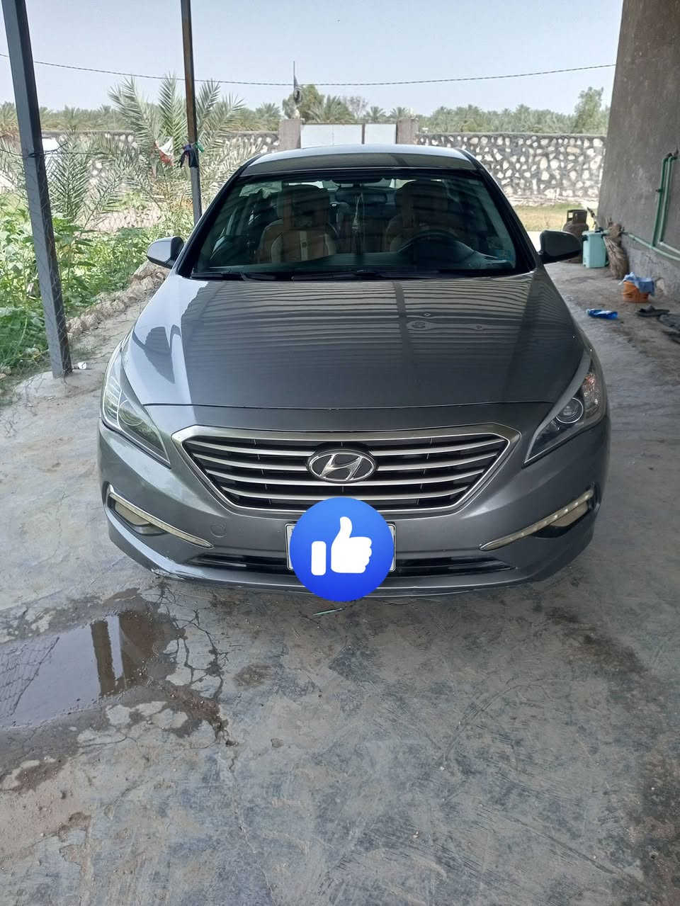 سوناتا موديل 2016
رقم بابل الماني باسمي ثاني يوم تحويل
وارد امريكي حادثه جاملغ وباب الصدر مبدأ وباب السائق نص كلين كير اوتو شاشه وكاميرا تحكم ستيرن جهتين تبريد ثلج حداديه جديده ماشيه 185 ميل داخل لونين

رقم صاحب سيارة ***********
