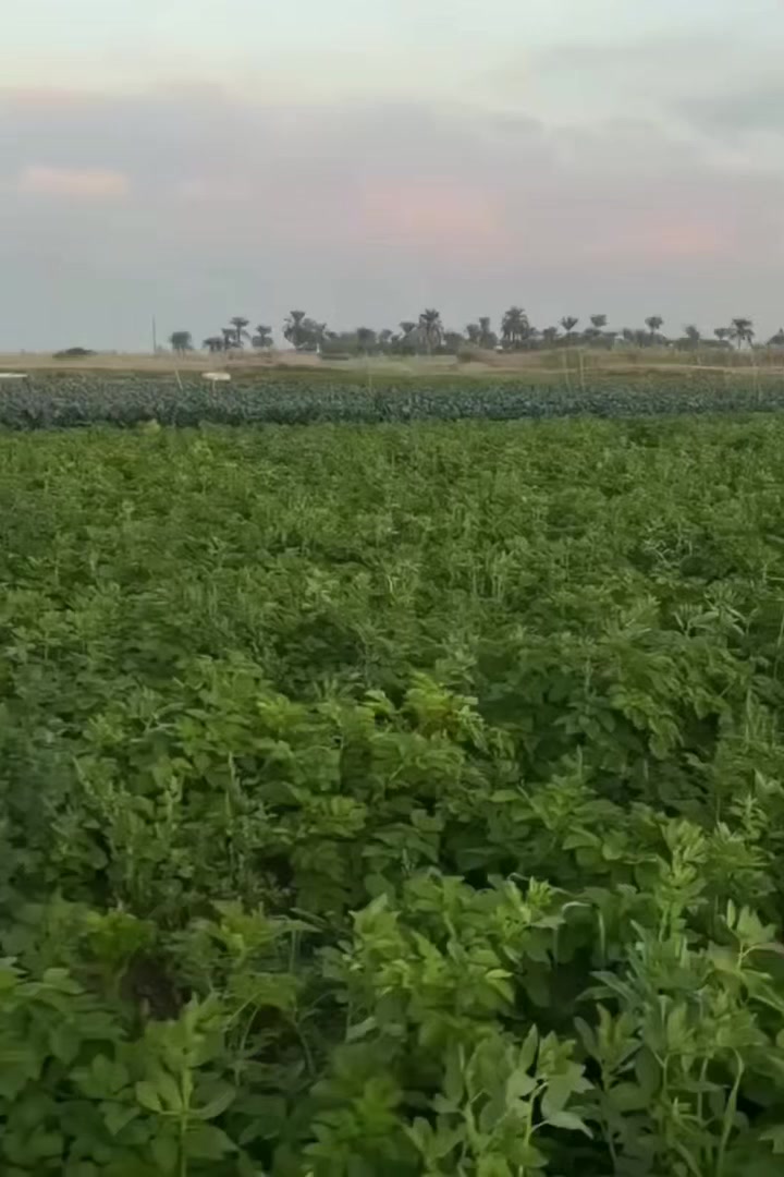 فرصة أرض استثمارية مميزة – الرضوانية / الكرخ – بغداد 🔥🏡
موقع ممتاز قريب من شارع الفتوح ومدرسة الفتوح.
📍 الرضوانية الشرقية
📐 المساحة: 10 دوانم متجاورة
📄 سند: 25 حق التصرف (طابو المحمودية)
💧 متوفر ماء وكهرباء وطريق مبلط
صالحة للسكن أو مشروع أو استثمار.
💰 سعر الدونم: 60 مليون دينار
💰 السعر الكلي: 600 مليون دينار
✔️ تريد مفرد؟ متوفر بيع دونم أو أكثر.
✔️ تريد كلهن؟ متوفر بيع كامل المساحة.
📲 للتواصل واتساب: ***********
أو اكتب (1) ونرسل الموقع والتفاصيل.
#بغداد #الكرخ #الرضوانية #اليوسفية #اللطيفية #ابو_غريب
#عقارات_بغداد #اراضي_للبيع #استثمار_عقاري #فرصة_استثمار
#اراضي_الرضوانية #اراضي_اليوسفية #اراضي_اللطيفية #اراضي_ابو_غريب
#بيع_اراضي #شراء_اراضي #عقار_العراق
السعر واضح ونهائي والبيع جاد فقط.
