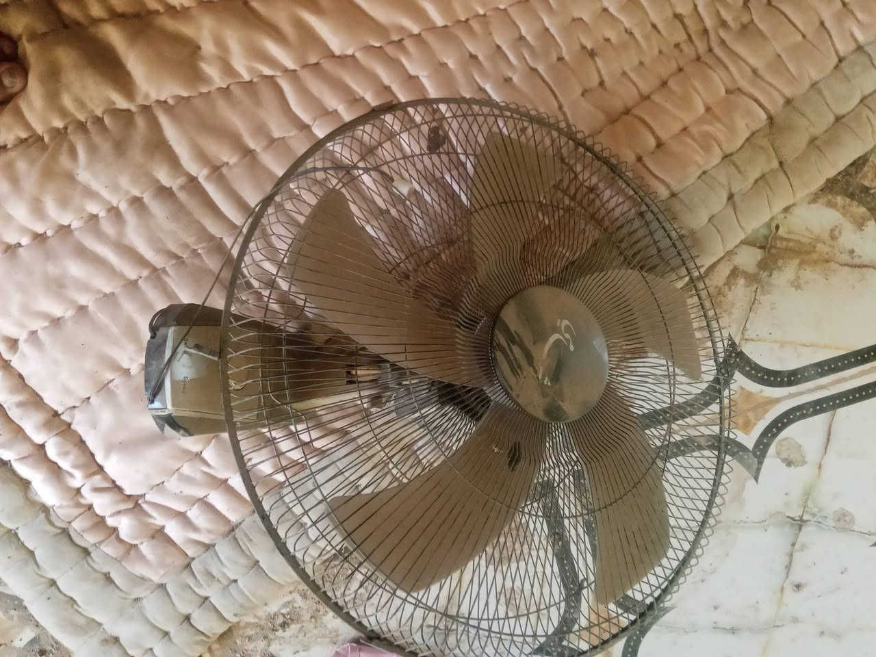 السلام عليكم مراوح جداريات عدد 5. نوعيتهن شامي اخذتهن الوحده ب40 وعطلن ما اعرف شنو سبب 
الي ايريدهن خل ايخلي سعر وياخذهن مكان بابل الحمزه الغربي العلاك ويوجد توصيل


**إذا كنت صاحب هذا الإعلان وتريد حذفه لأي سبب، رجاءا أرسل رسالة إلى الدعم الفني**