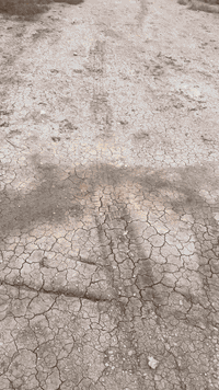 السلام عليكم قطعة ارض للبيع في بغداد الدورة هورجب مجمع الدرة سند 25 مساحة الارض 114 متر واجهه 9 الا شويه  القطعة صايرة ركن على شارع فرعي وشارع  عريض للاستفسار الاتصال على الرقم ***********
