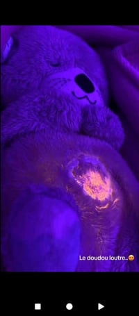 دمية دب • فيشر برايس • موسيقية