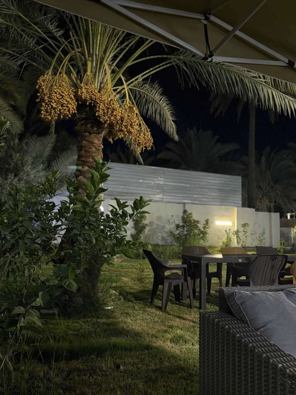 السلام عليكم 
مزرعة السند ترحب بكم 🏊🏻🏊🏻☘️🌴🌳🪾
☘️متوفرة حجوزات على مزرعة السند القائمة في سلمان باك / الباوي لاي يوم من الايام المطلوبة 
☘️خدمات ٢٤ ساعة 
☘️غرف نوم عدد٢ 
☘️صالة ومطبخ مودرن
☘️صحيات
🌱مسبح كبير 
🌱مسبح صغير
🌱كعدات خارجية 
انترنت 4G مجاني
🌴المزرعة عبارة عن خضار وطلبيعة تخبل
متوفرة حجوزات الاسبوع القادم وايام العيد كلها 
🌹🥒🍏🌱🌴
للاستفسار اكثر 
***********
