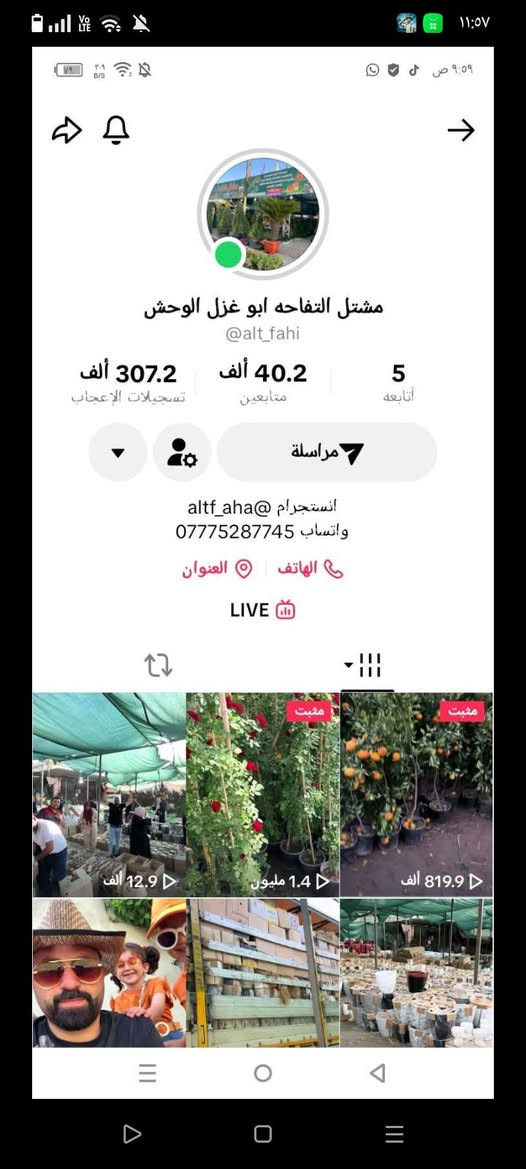 العروض مستمره طوال الأسبوع وكل لهله بليجي مشتل التفاحه


**إذا كنت صاحب هذا الإعلان وتريد حذفه لأي سبب، رجاءا أرسل رسالة إلى الدعم الفني**