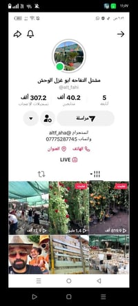 عروض • طوال الأسبوع • مشتل التفاحه