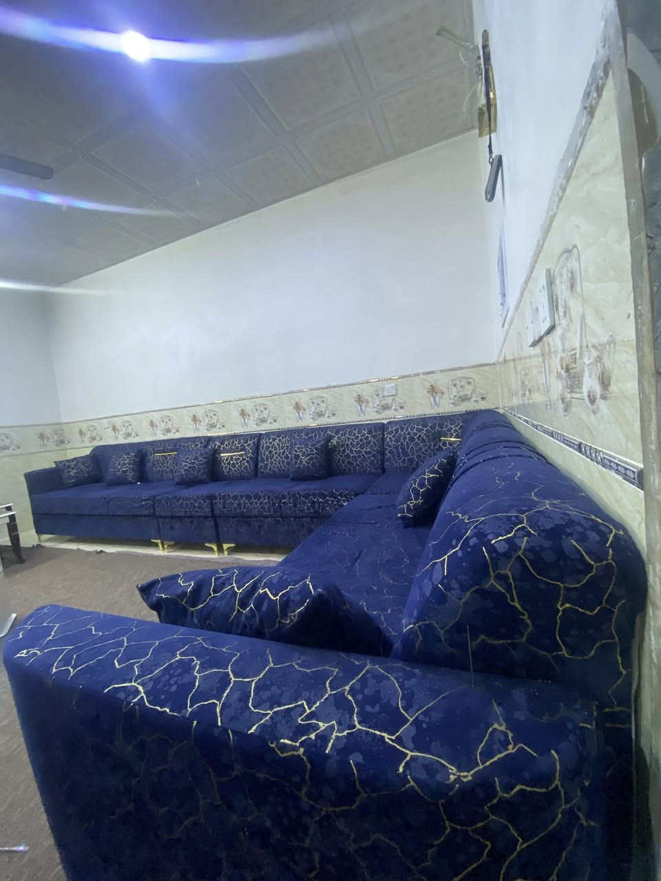 تخم قنفات للبيع ***********واتساب
