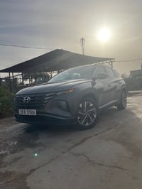 توكيان 2023 للبيع 195 ورقه للستفسار التصال على الرقم 07726022306