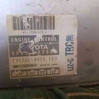 بطة ديلكو • ٢٫٥ • جديد