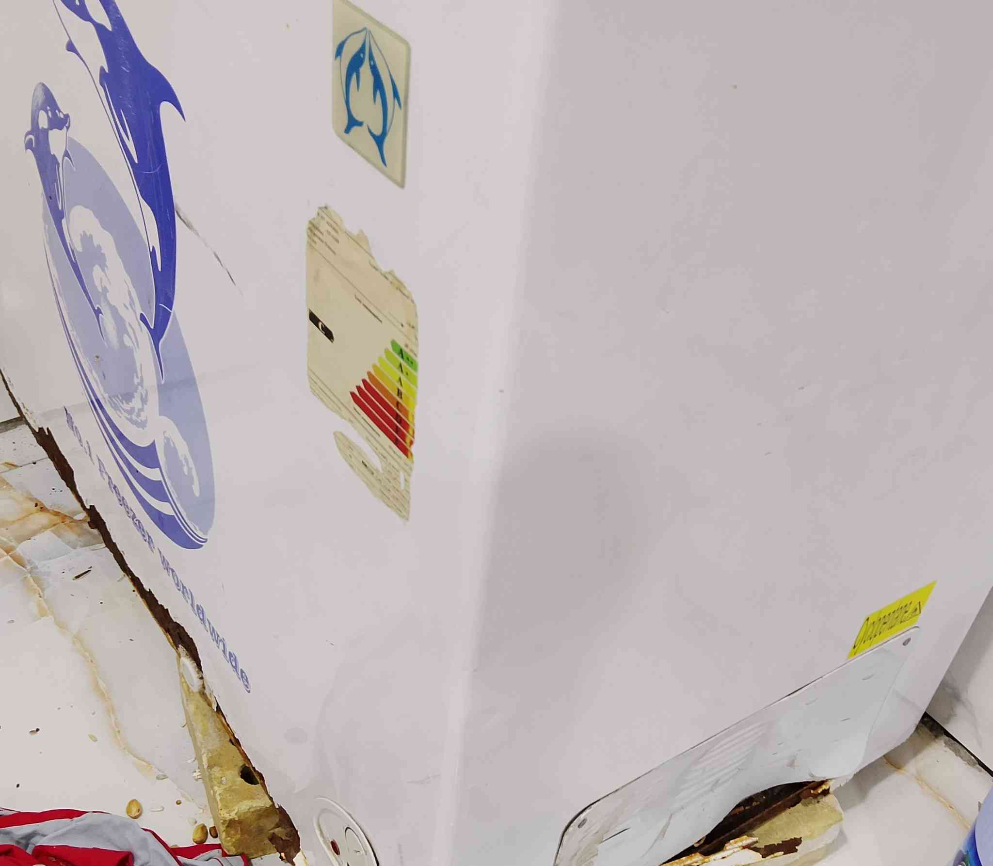 السلام عليكم
مجمده ماركه UCMA بيها اخياس تكدرون اجلدوها شغاله فول تجميد سعر جداً مناسب 30 بسس


**إذا كنت صاحب هذا الإعلان وتريد حذفه لأي سبب، رجاءا أرسل رسالة إلى الدعم الفني**