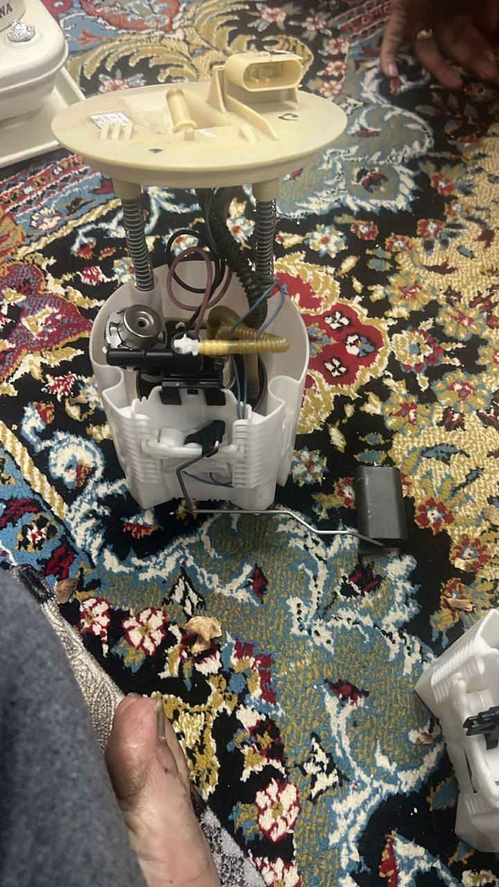 3فيتبمات مال جارجج
بلادي من امريكة للعراق جدد بلجيس شغالات كلهن 
المكان اربيل!!
رقم التواصل***********
سعر الوحدة 120كلهن360
