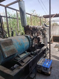 بابل عنانه • مولدة ٨٥٠ • مكينتين افيكو