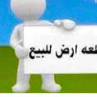 سيد جميل • شارع ١٥ • ٢٠٠م